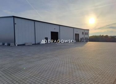 Magazyn 1200 m2 Wolica przy trasie S8