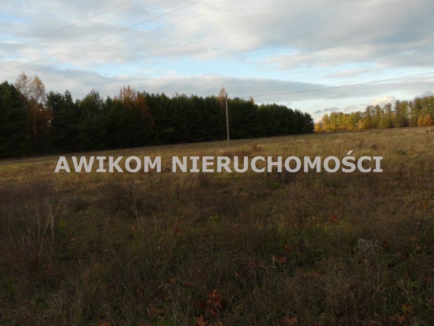 Puszcza Mariańska, 84 140 zł, 12.02 ar, budowlana miniaturka 3