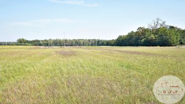 1,4 ha możliwość podziału 11 km Mosina