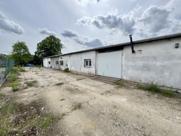 Gorzów Wielkopolski, 2 040 zł, 136 m2, parter