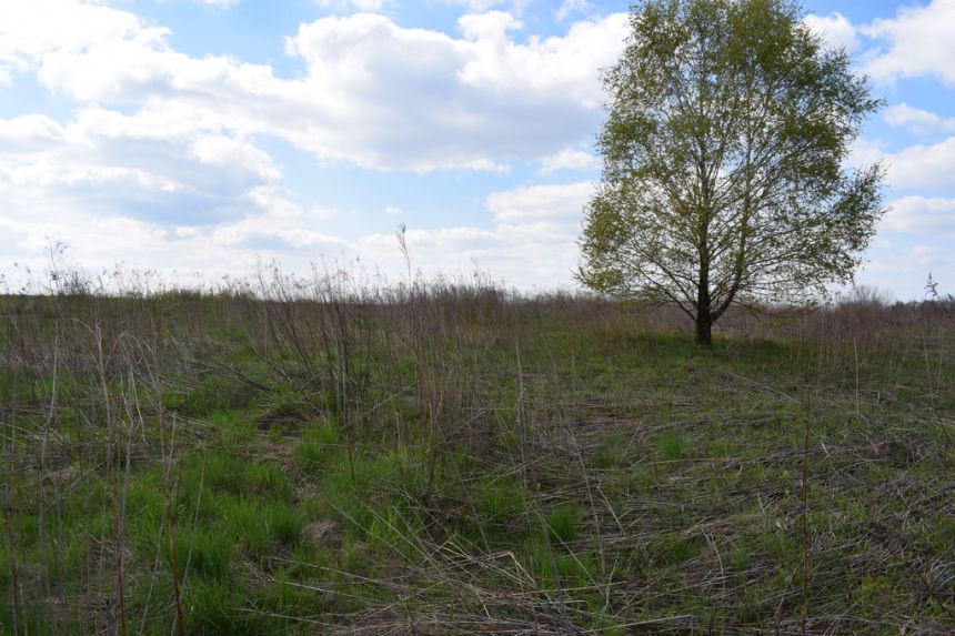Działka rolno-budowlana 28a, Chmielnik miniaturka 6