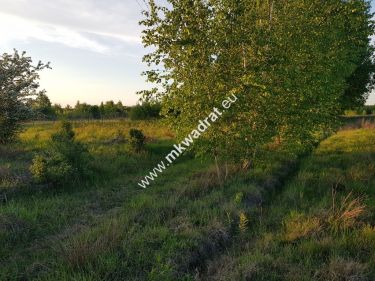 działka 800 m od szkoły