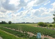 Kopytów, 2 400 000 zł, 1.67 ha, droga dojazdowa asfaltowa miniaturka 2