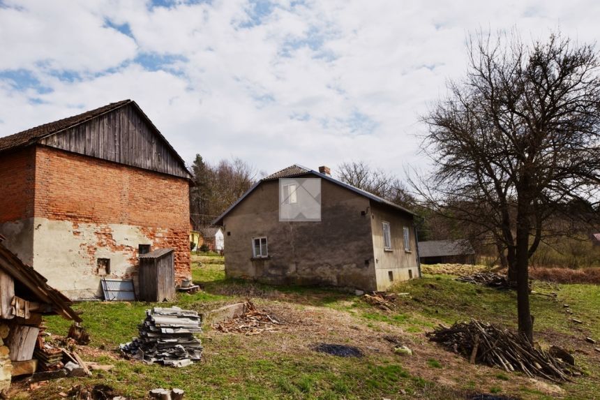 2 dwa domy + stodoła + ziemianka + 45a / ŚLIWNICA - zdjęcie 1