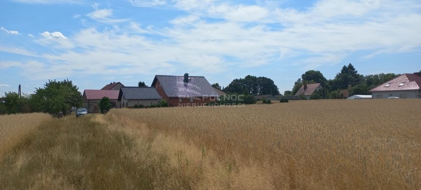 działka w Nowogrodźcu 1000 m2 miniaturka 3