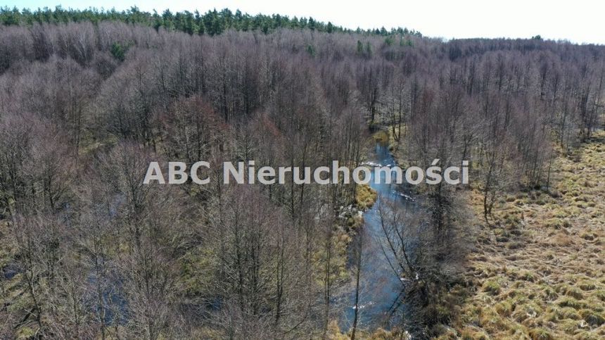 Golce, 750 000 zł, 99.69 ar, przyłącze elektryczne miniaturka 5