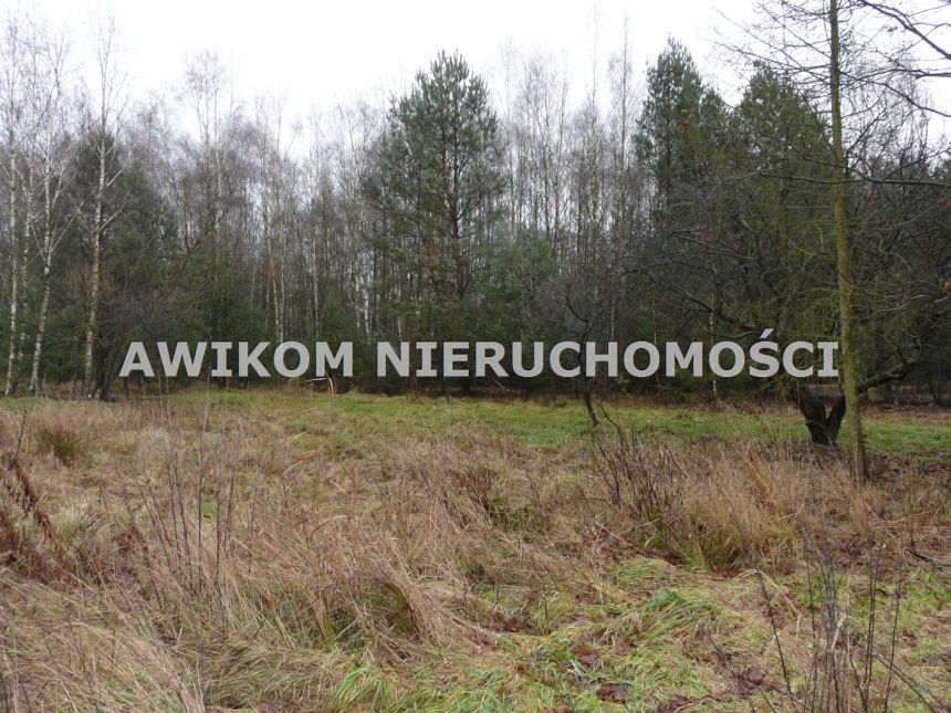 Skierniewice, 138 258 zł, 1.54 ha, rolna miniaturka 6