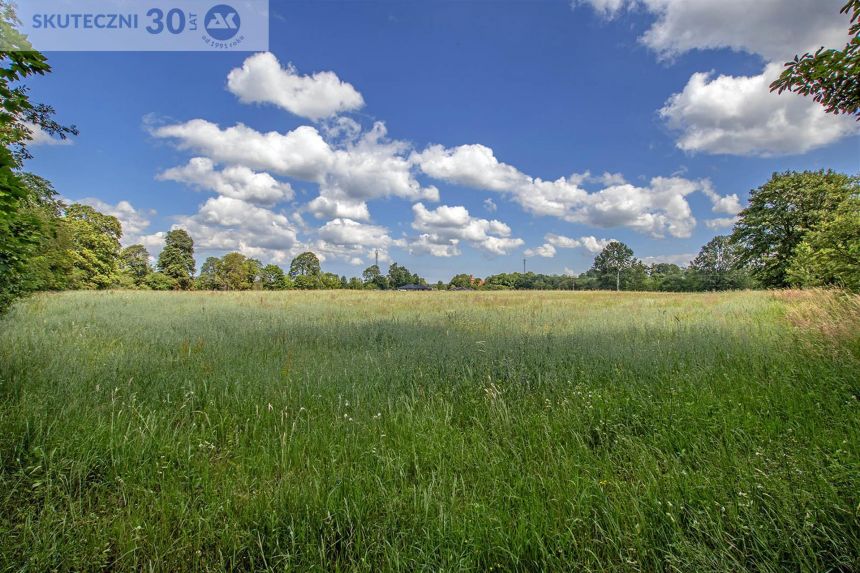 Działka - Kościernica miniaturka 7