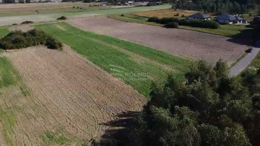 Działka budowlana 4600 m2 w atrakcyjnej cenie! miniaturka 2