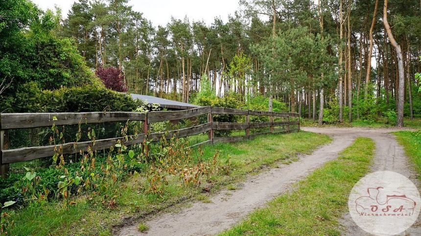 Wolnostojący 70 m od Jeziora Kosewskiego! miniaturka 5