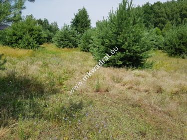 DZIAŁKA BUDOWLANA RUSIEC – blisko las i szkoła