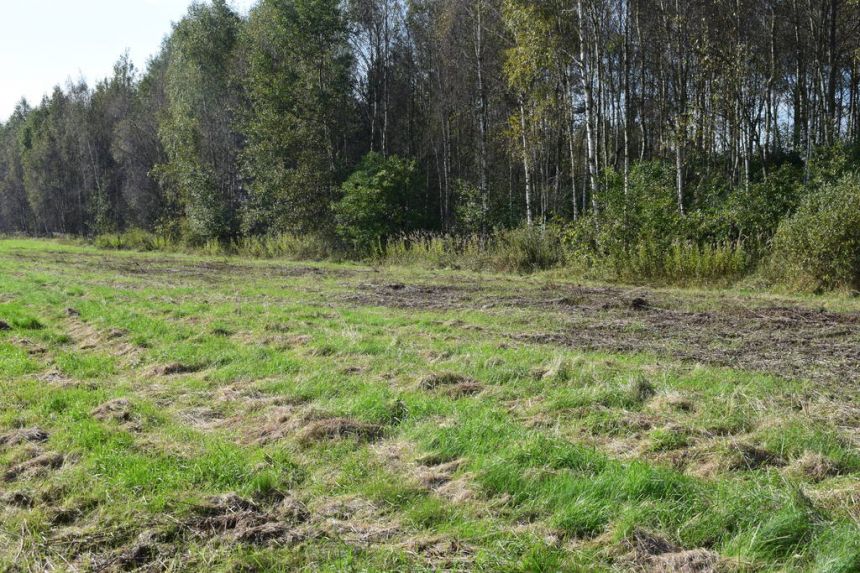 Działki budowlane 7.5a-7.98a - Bratkowice miniaturka 4