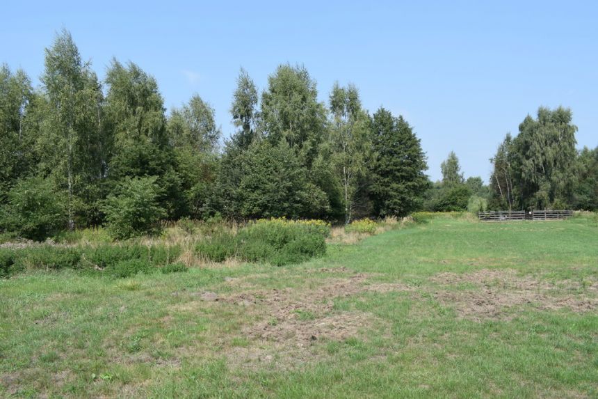 Działka budowlana 32a - Głogów Młp miniaturka 8
