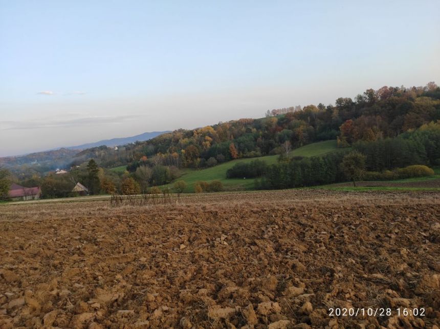 Siedliska, 125 000 zł, 1.13 ha, budowlana - zdjęcie 1