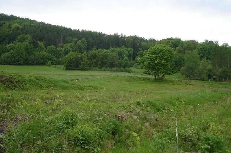 Grunt  na sprzedaż, Sosnówka, 1865.00 m2 miniaturka 4