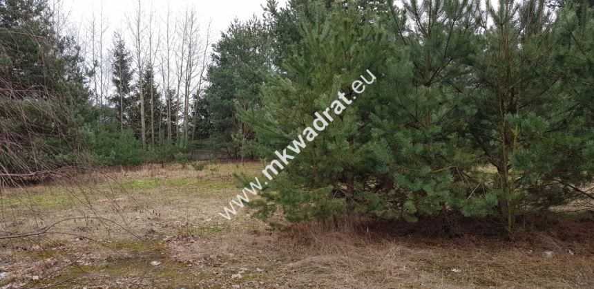 działka usługowa z MPZP 50x78 - zdjęcie 1