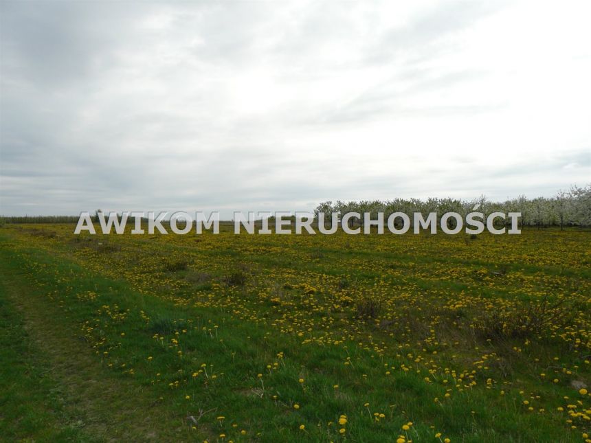 Wycinka Wolska, 124 020 zł, 1.03 ha, rolna miniaturka 9