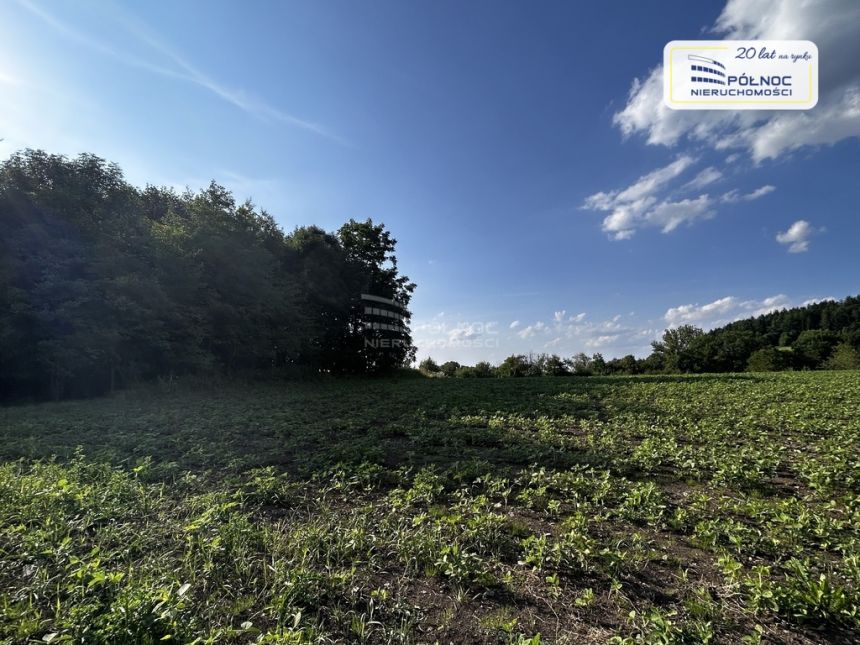 Działka z widokiem na panoramę gór. miniaturka 3