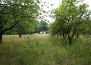 DZIAŁKA GRANICZĄCA Z PUSZCZĄ ZIELONKĄ miniaturka 17