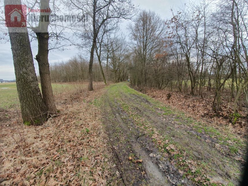 Wielkie Drogi, 160 000 zł, 30 ar, rolno-budowlana miniaturka 3