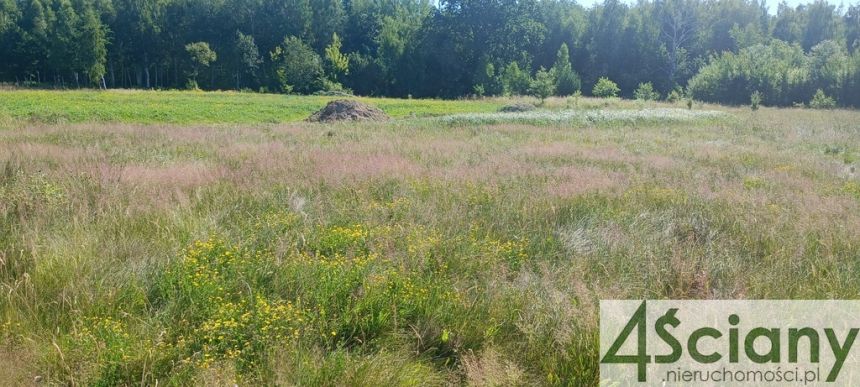 Opypy, 450 000 zł, 15.41 ar, prostokątna - zdjęcie 1