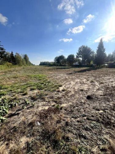 Działka 1060 m² Stare Załubice, MPZP, blisko lasu.