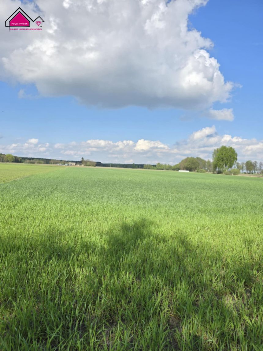 Skrzynka, 83 000 zł, 9.98 ar, rekreacyjna miniaturka 5