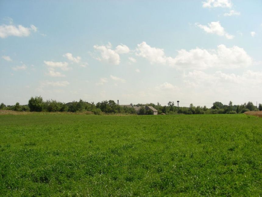 Żalin-Kolonia, 149 000 zł, 3.81 ha, budowlana miniaturka 6
