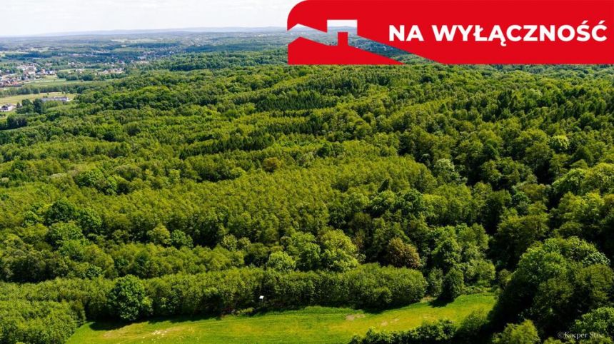 Działka leśna w Skrzyszowie miniaturka 2