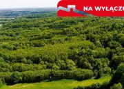 Działka leśna w Skrzyszowie miniaturka 2
