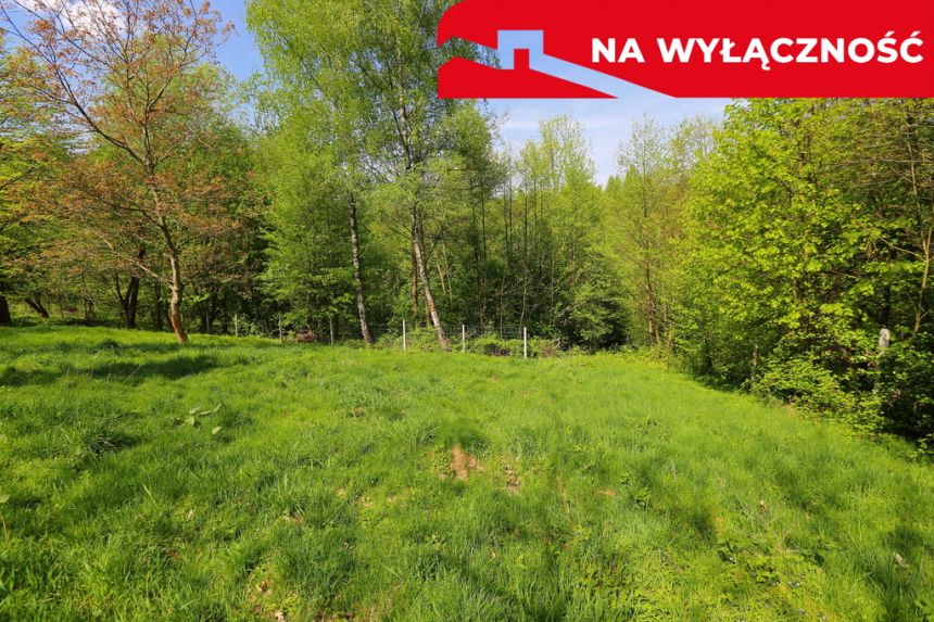 Działka rolno-budowlana z lasem miniaturka 12