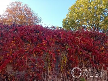 Podolszyn Nowy, 1 400 000 zł, 16.6 ar, inwestycyjna