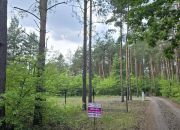 Ślesin, 120 000 zł, 6.23 ar, droga dojazdowa utwardzona miniaturka 5