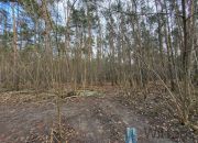 Warszawa Wawer, 7 100 000 zł, 71 ar, droga dojazdowa asfaltowa miniaturka 7