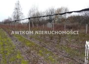 Skierniewice, 1 650 000 zł, 180 m2, umeblowany miniaturka 48