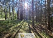 Działka budowlana wśród lasu | Bartoszylas miniaturka 2