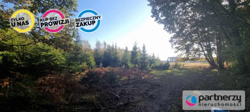 Bieszkowice, 480 000 zł, 2.69 ha, rolna miniaturka 14