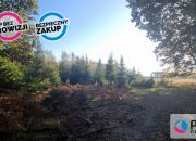 Bieszkowice, 480 000 zł, 2.69 ha, rolna miniaturka 14