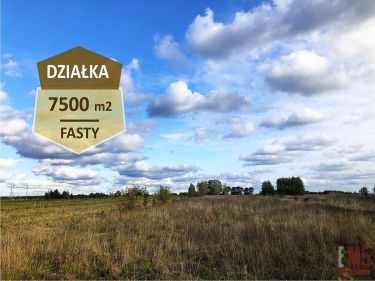 Białystok, 2 250 000 zł, 75 ar, inwestycyjna
