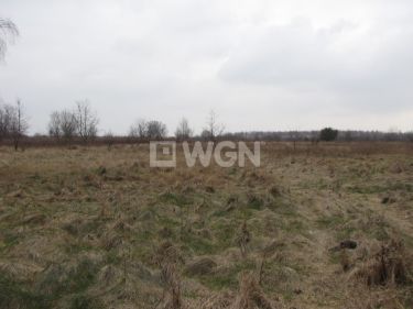 Rzgów, 9 900 000 zł, 6.28 ha, bez nasadzeń