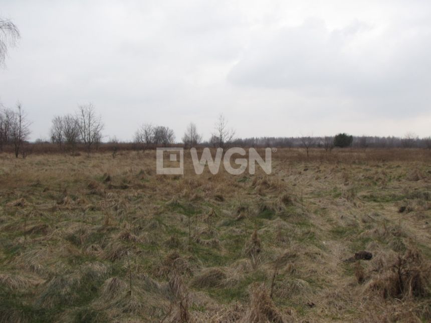 Rzgów, 9 900 000 zł, 6.28 ha, bez nasadzeń miniaturka 1