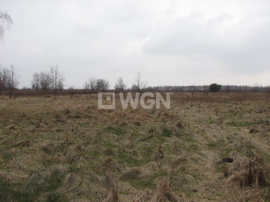 Rzgów, 9 900 000 zł, 6.28 ha, bez nasadzeń - zdjęcie 1