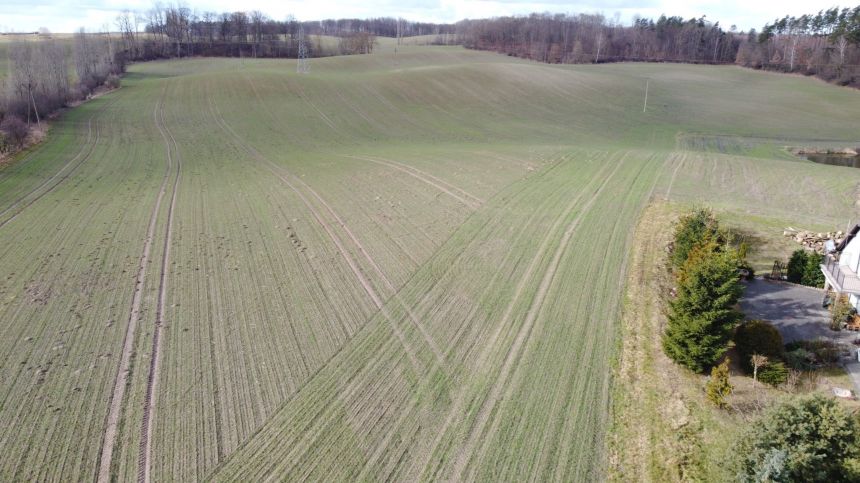 Działka przemysłowa w Swarożynie przy autostradzie A1. miniaturka 5