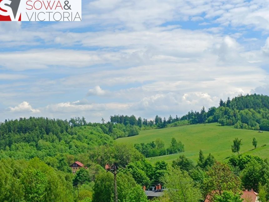 Działka budowlana, 3 km od Wałbrzycha - Promocja! miniaturka 6