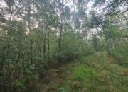 Blisko ul. Kąckiej, z prywatnym lasem. miniaturka 6