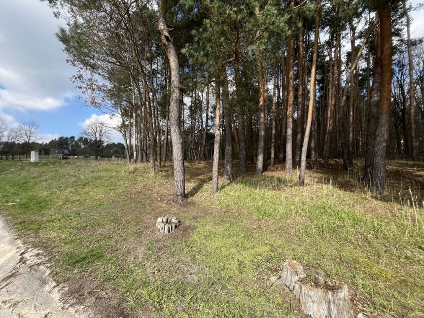 Atrakcyjna działka 2618 m2 w Oblasach-Księżę. miniaturka 4