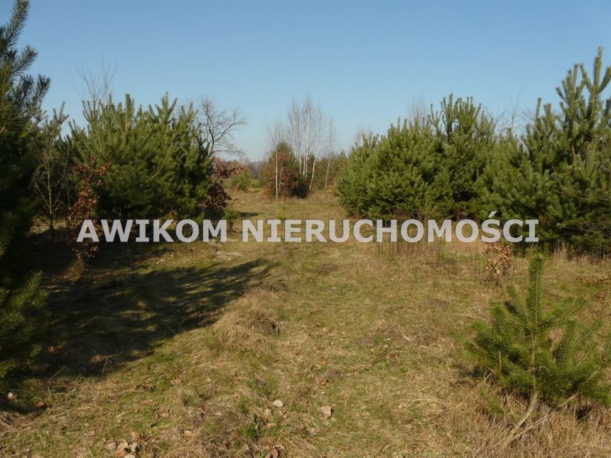 Rzymiec, 270 000 zł, 40 ar, przyłącze elektryczne miniaturka 6