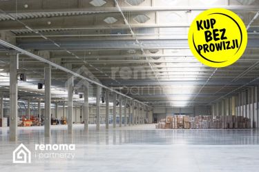 Koszalin, 2 990 000 zł, 950 m2, o zróżnicowanej budowie