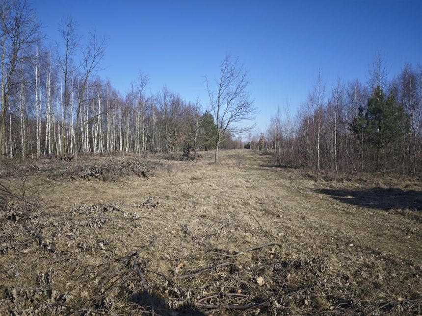 Borzęcin Mały, 430 000 zł, 10 ar, droga dojazdowa gruntowa miniaturka 8