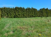Borowiec, 390 000 zł, 10.02 ar, inwestycyjna miniaturka 10